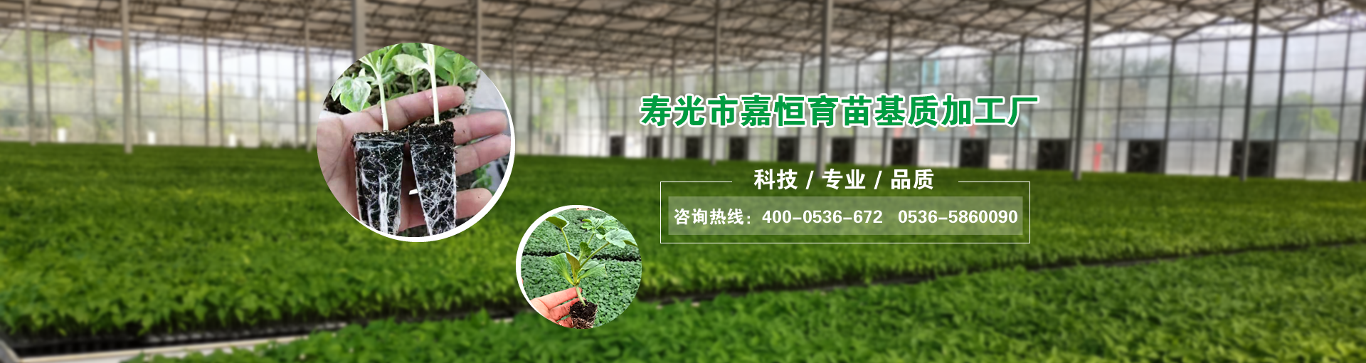 ������|(zh��)_�o(w��)������_�M(j��n)����̿_�۹�κ�������|(zh��)�ӹ��S